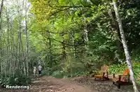 21326 48 AVENUE - thumbnail 33