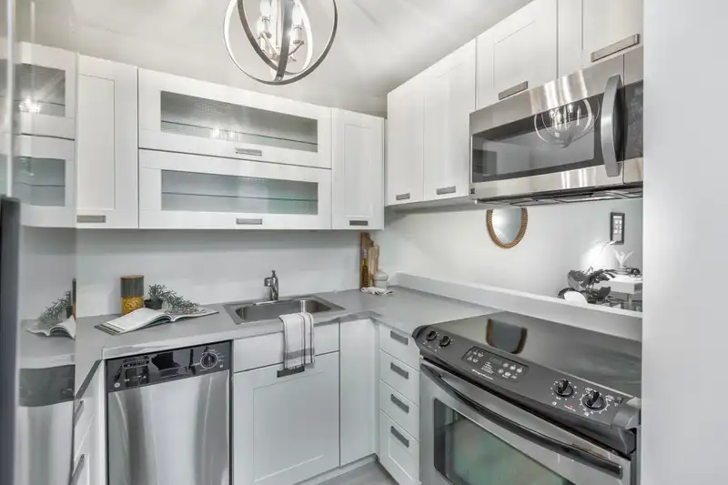207 1345 COMOX STREET - photo 4 of 40