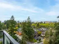 1106 5380 CROOKED BRANCH ROAD - thumbnail 19