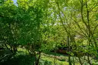 206 15020 NORTH BLUFF ROAD - thumbnail 14