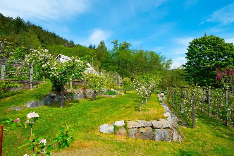 620 LAURA ROAD - photo 3 of 25