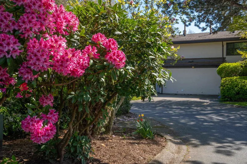 71 11491 7TH AVENUE - photo 2 of 25