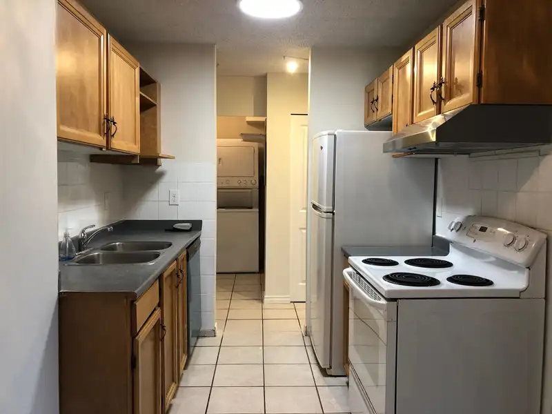 217 8591 WESTMINSTER HIGHWAY - photo 3 of 18