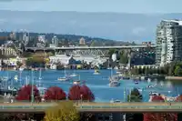1012 1768 COOK STREET - thumbnail 2