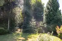 1435 NELSON AVENUE - thumbnail 6