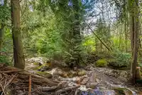 11 2590 PANORAMA DRIVE - thumbnail 38