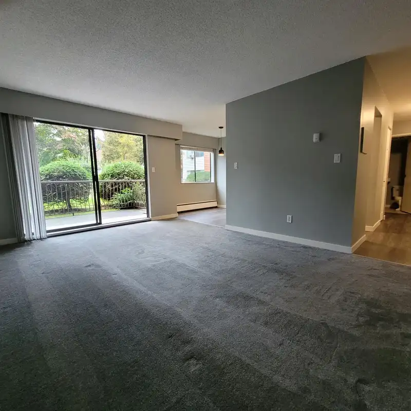 111 1909 SALTON ROAD - photo 4 of 28