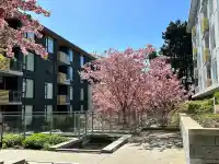 609 7428 ALBERTA STREET - thumbnail 3