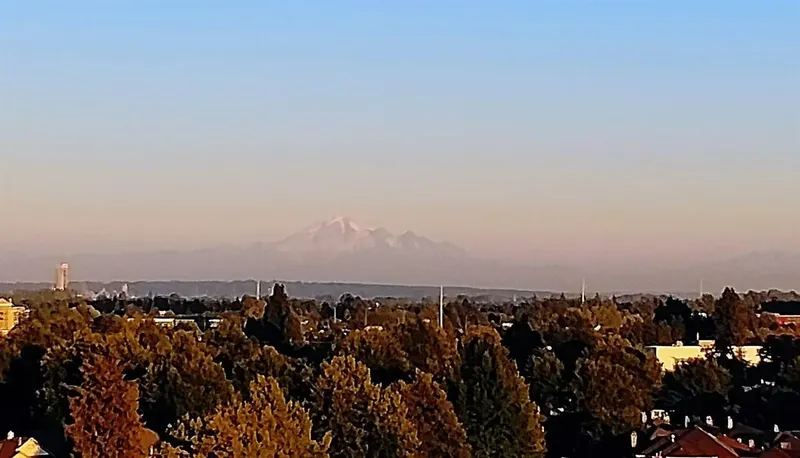 1101 8800 HAZELBRIDGE WAY - photo 1 of 11