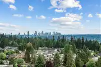 1909 567 EMERSON STREET - thumbnail 21
