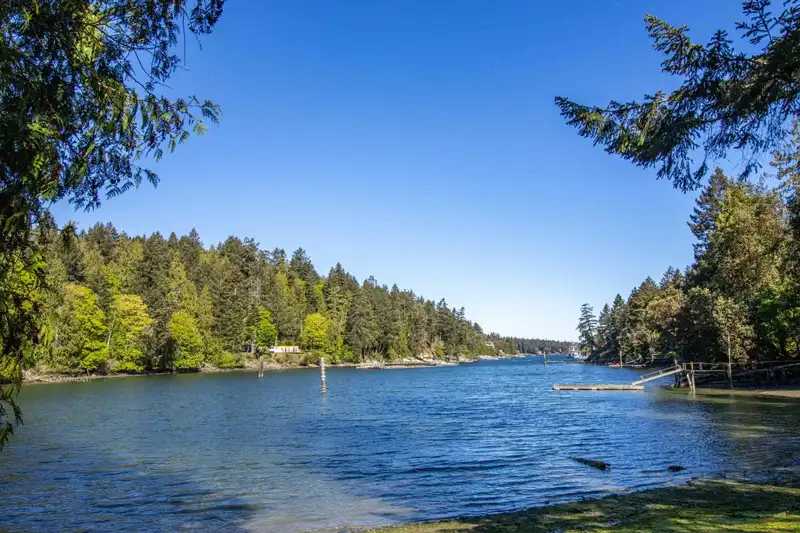 2333 STURDIES BAY ROAD - photo 1 of 40