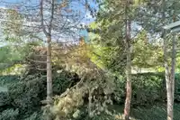 304A 7025 STRIDE AVENUE - thumbnail 31