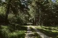 754 BURRILL ROAD - thumbnail 32