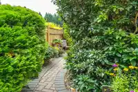 36 1400 164 STREET - thumbnail 29
