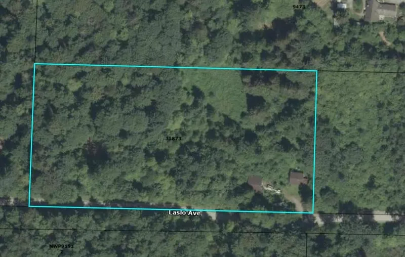 31873 LASLO AVENUE - photo 1 of 1