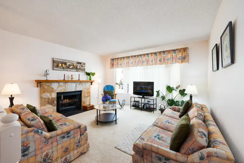 1310 MCLELLAN DRIVE - photo 4 of 27