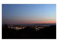 2056 SCARBORO AVENUE - thumbnail 2