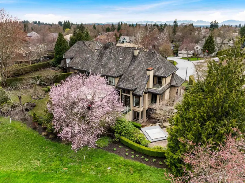 16358 LINCOLN WOODS COURT - photo 3 of 25