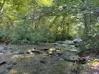 19 19743 FOSTER ROAD - thumbnail 9