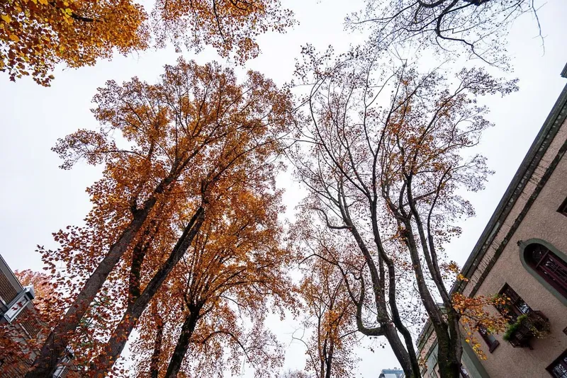 302 936 BUTE STREET - photo 3 of 25