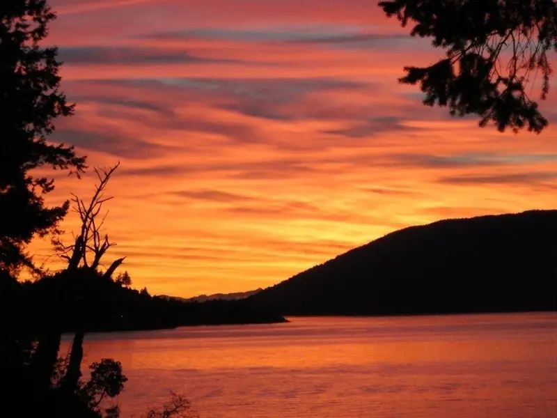 8255 PASCO ROAD - photo 2 of 25