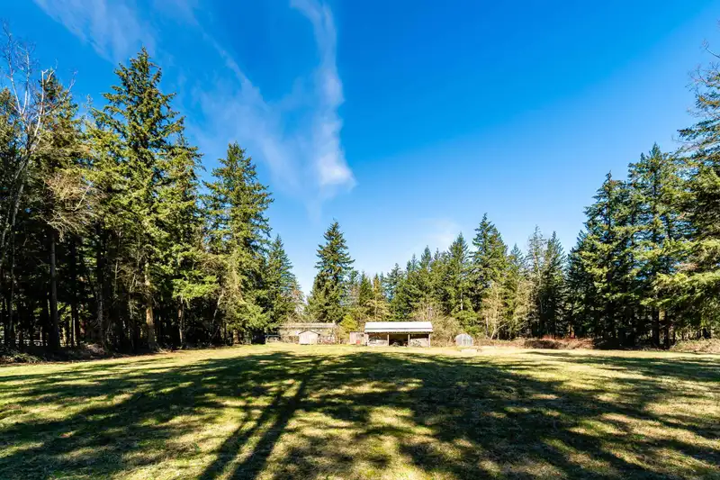 26604 13 AVENUE - photo 4 of 27