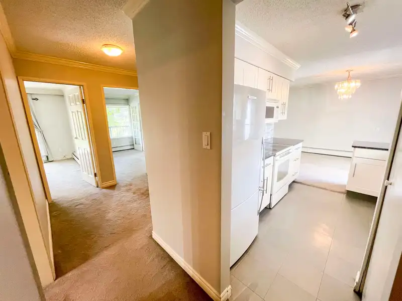 206 1351 MARTIN STREET - photo 4 of 24