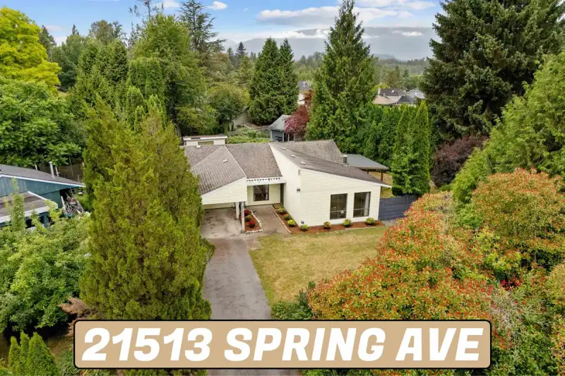 21513 SPRING AVENUE - photo 1 of 40