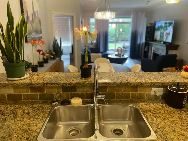 107 12268 224TH STREET - photo 3 of 24