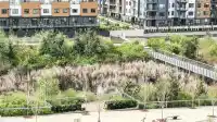 607 8327 201 STREET - thumbnail 20