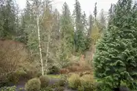 64 24185 106B AVENUE - thumbnail 15