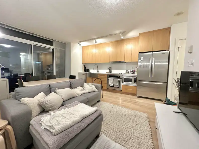 451 250 E 6TH AVENUE - photo 4 of 18