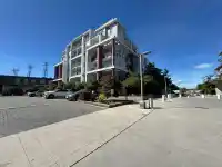 206 10033 RIVER DRIVE - thumbnail 3