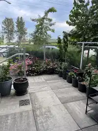 103 4433 ALASKA STREET - thumbnail 16