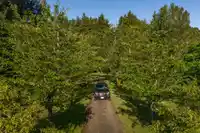 9172 SHOOK ROAD - thumbnail 7