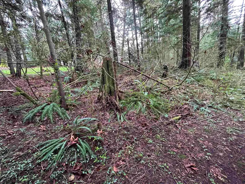 2000 SUNNYSIDE ROAD - photo 2 of 3