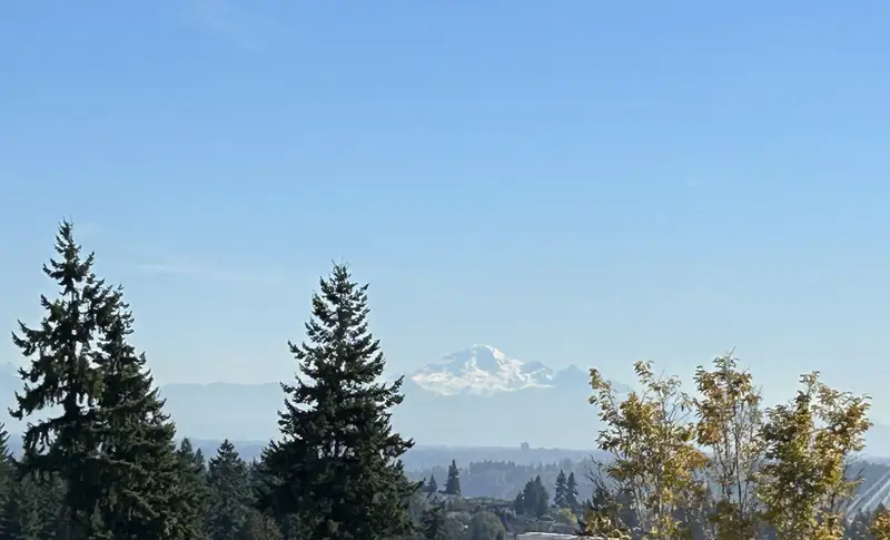 1204 1045 AUSTIN AVENUE - photo 2 of 20