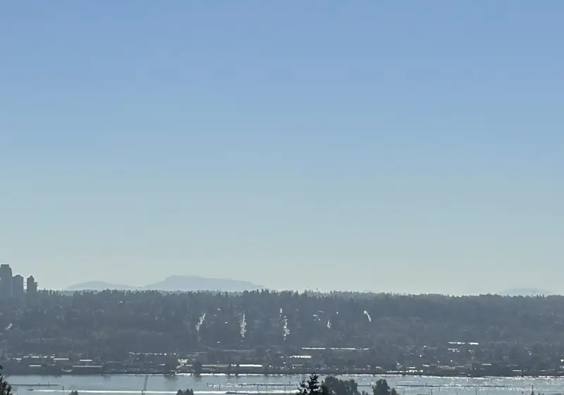 1204 1045 AUSTIN AVENUE - photo 3 of 20