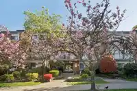 213 1950 W 8TH AVENUE - thumbnail 1