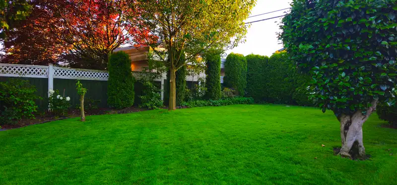 5325 ASH STREET - photo 3 of 33
