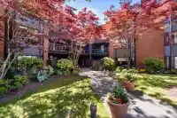 313 15300 17 AVENUE - thumbnail 2