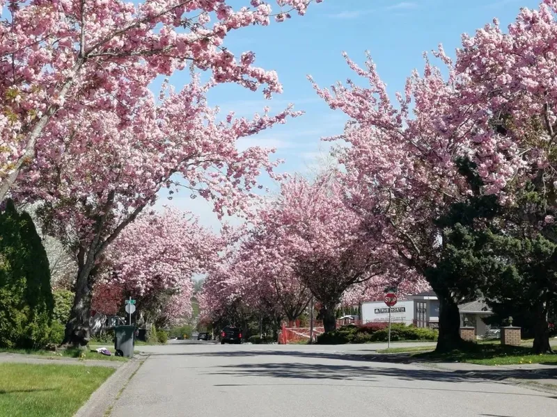 15759 101 AVENUE - photo 1 of 25