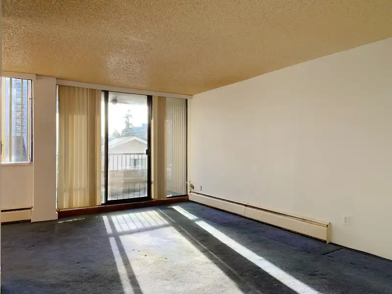 405 740 HAMILTON STREET - photo 3 of 40