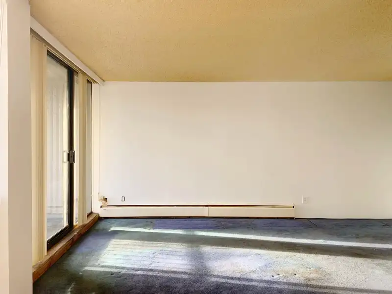 405 740 HAMILTON STREET - photo 4 of 40