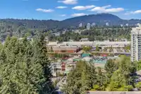 2605 3093 WINDSOR GATE - thumbnail 21