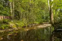 212 3275 MOUNTAIN HIGHWAY - thumbnail 25