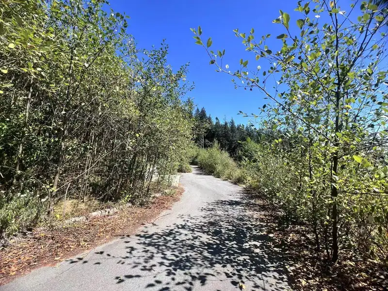4140 CYPRESS BOWL ROAD - photo 2 of 2