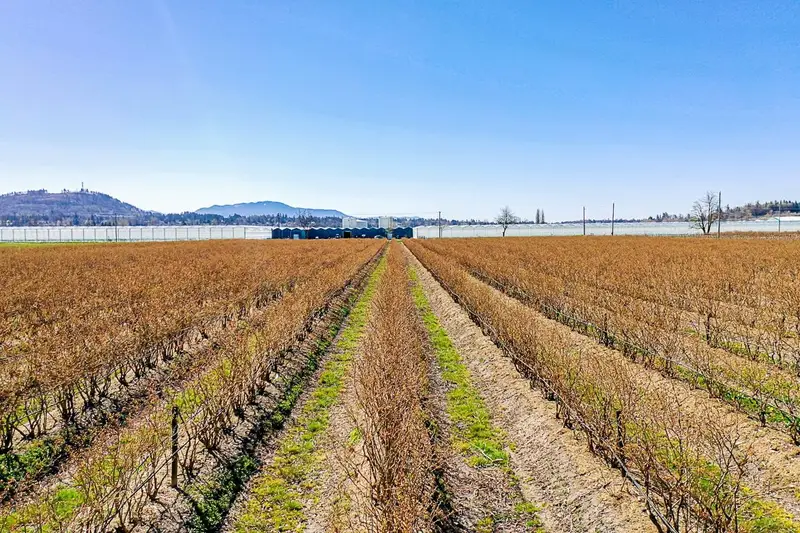 34221 TOWNSHIPLINE ROAD - photo 2 of 25