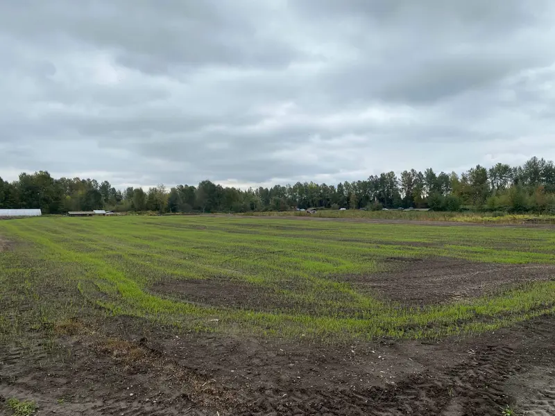 8646 MANDEVILLE AVENUE - photo 1 of 8