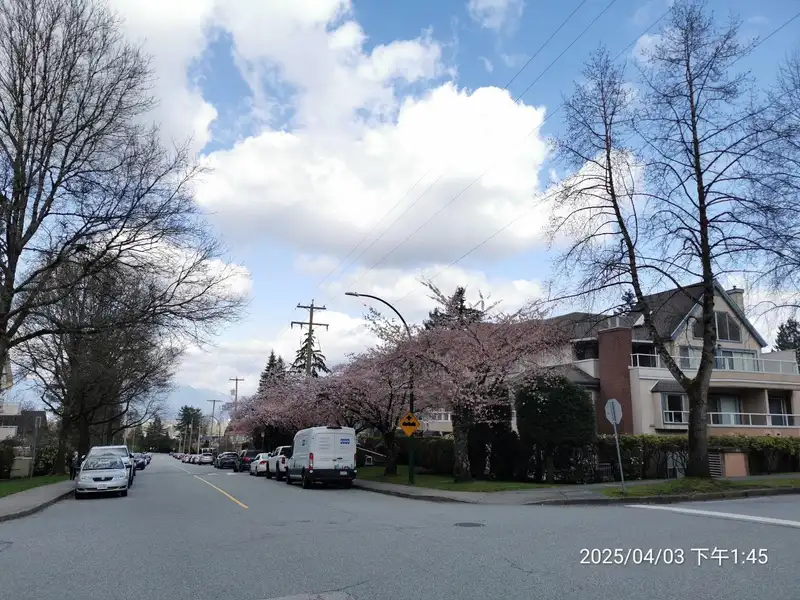 305 5568 BARKER AVENUE - photo 3 of 21